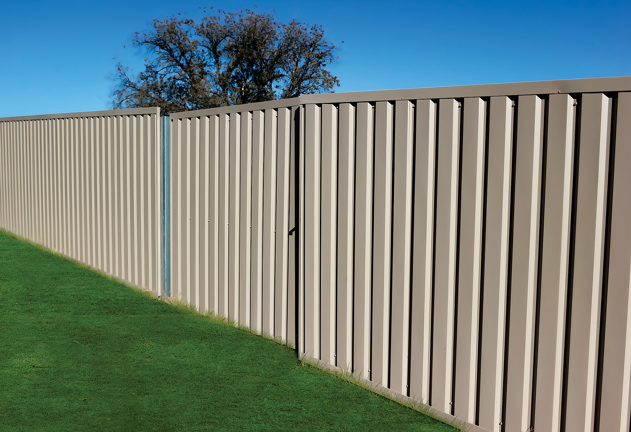 Privacy Fencing